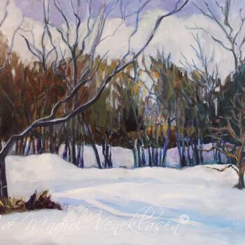 Snowy Field