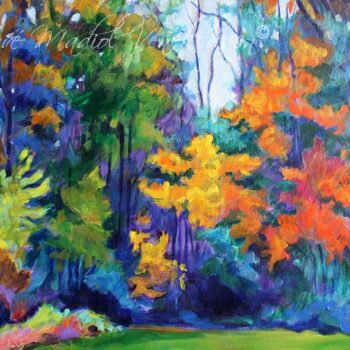 The Autumn Forest Open Sky