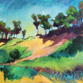 Wind on the Dunes