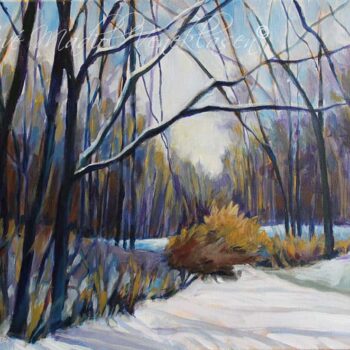 Winter Shadows