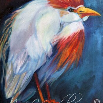 Cattle Egret