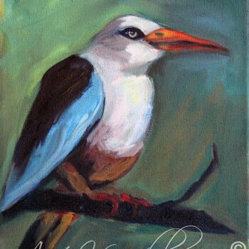 Grey Headed Kingfisher