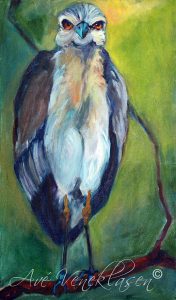 Ave_Veneklasen_Birds_YellowCrownedWhiteHeron_OilPainting