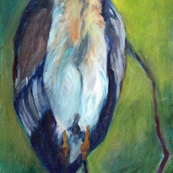 Yellow Crowned White Heron