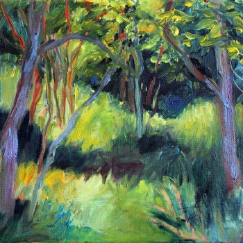 Light Between The Trees