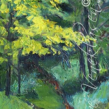 The Pass To The Woods