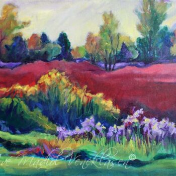 The Red Meadow