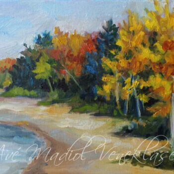 Birch Trees on the Shore