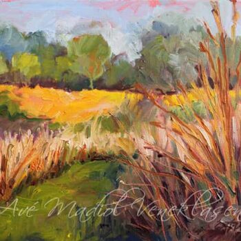 Late Summer