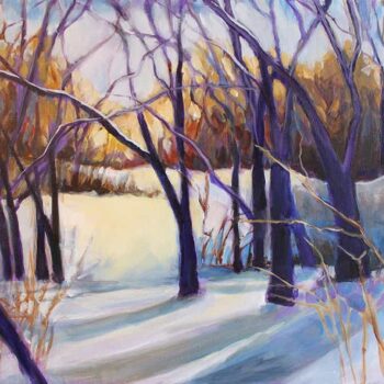Snow Shadows