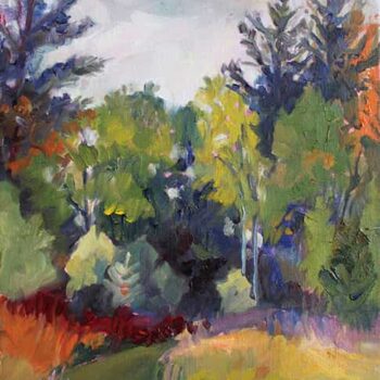 Tall Fir Trees