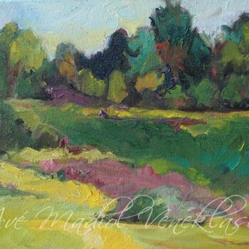 The Meadow