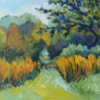 Yellow Grasses Along the Path