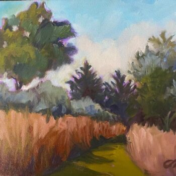 Path through Ochre Grass